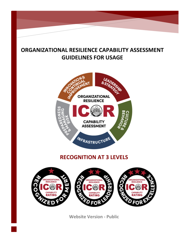 Capability Assessment Guidelines